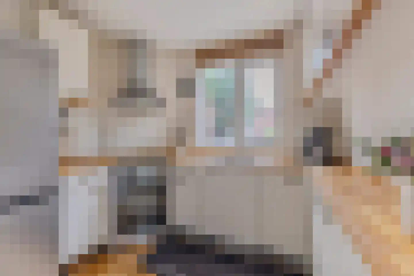 Oldebroekstraat 61 Zaandam thumbnail 8