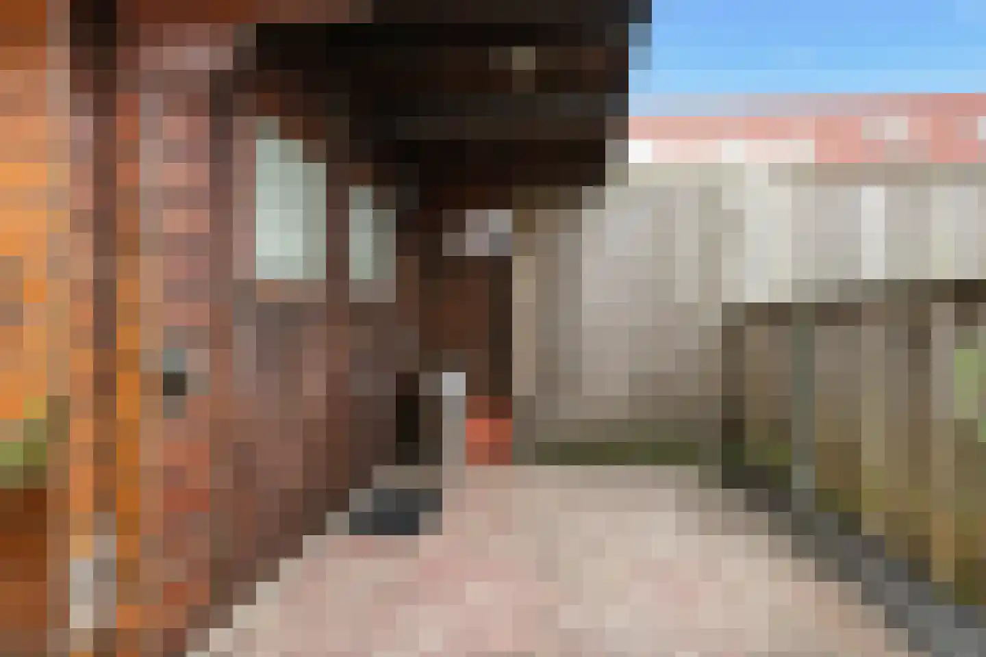 Oldebroekstraat 7 Zaandam thumbnail 12