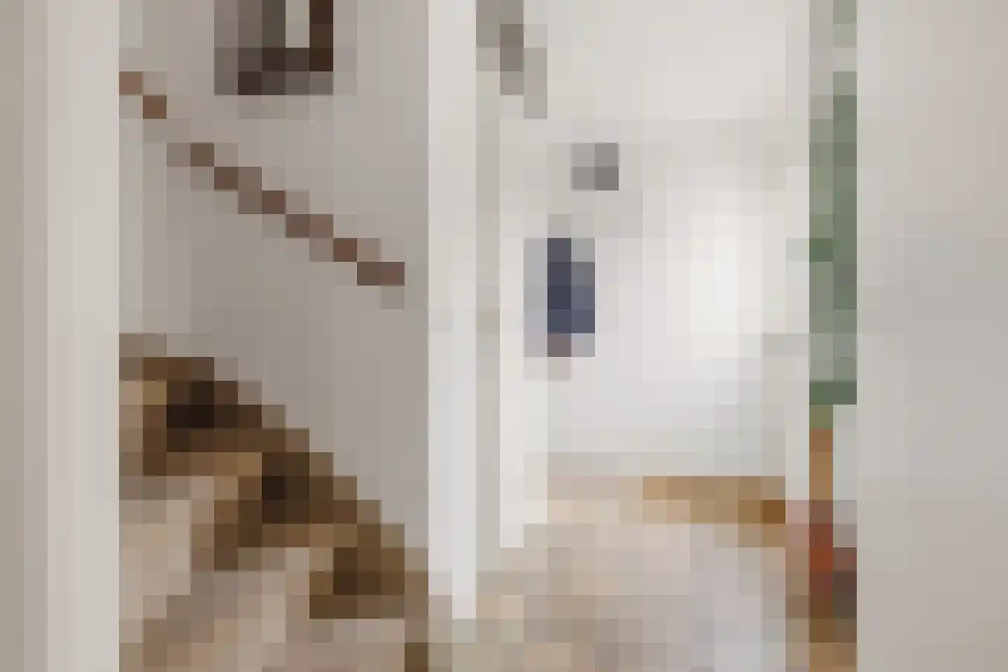 Oldebroekstraat 7 Zaandam thumbnail 17