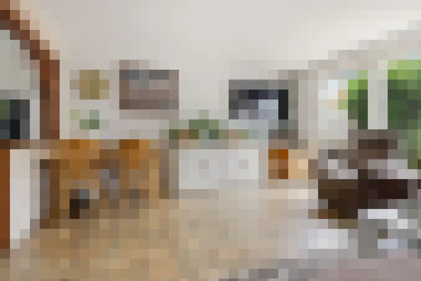 Oldebroekstraat 7 Zaandam thumbnail 6