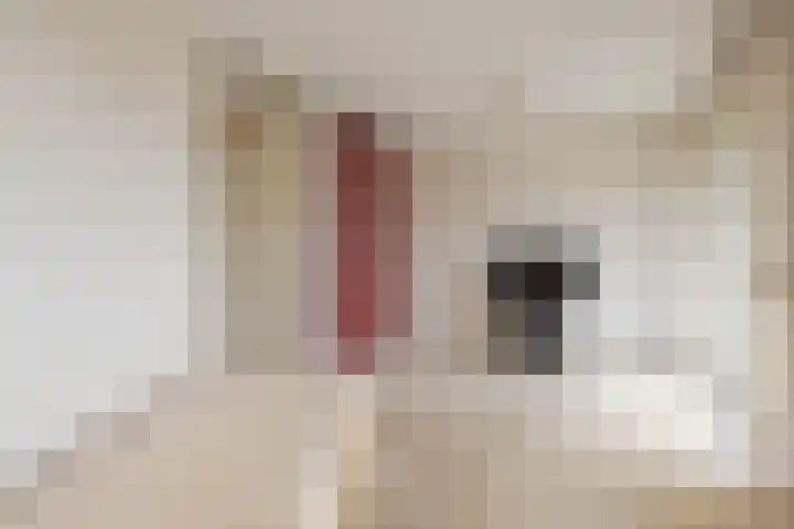 Oldegaarde 230 C Rotterdam thumbnail 18