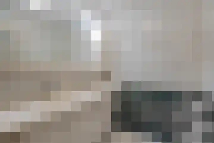 Oldegaarde 230 C Rotterdam thumbnail 20