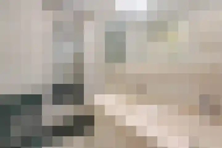 Oldegaarde 230 C Rotterdam thumbnail 22