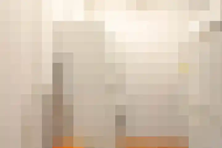 Oldegaarde 230 C Rotterdam thumbnail 25
