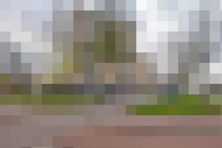 Oldegaarde 230 C Rotterdam thumbnail 27