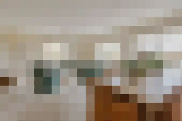 Oldegaarde 230 C Rotterdam thumbnail 9