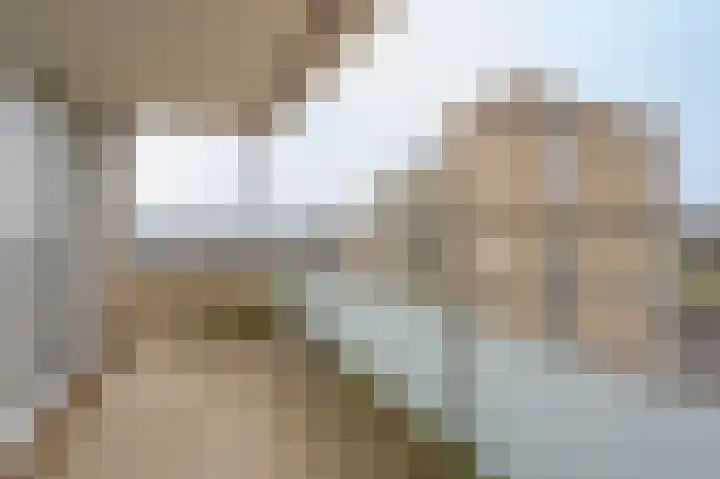 Oldegaarde 234 A Rotterdam thumbnail 11