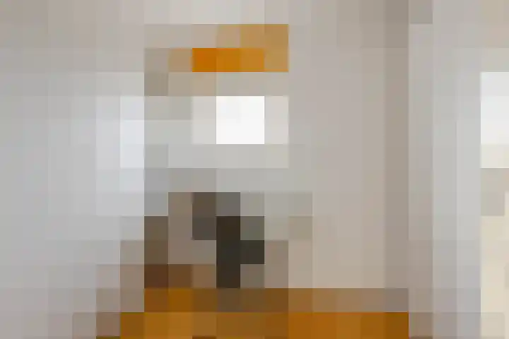 Oldegaarde 234 A Rotterdam thumbnail 18