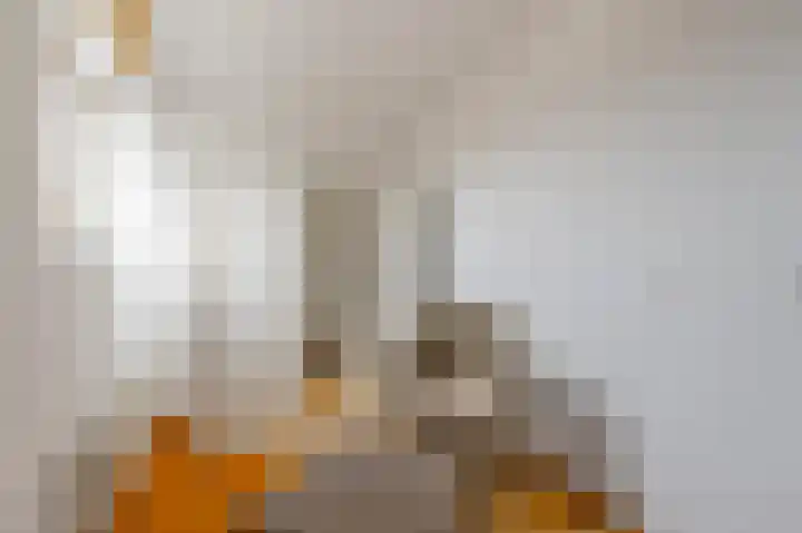 Oldegaarde 234 A Rotterdam thumbnail 23