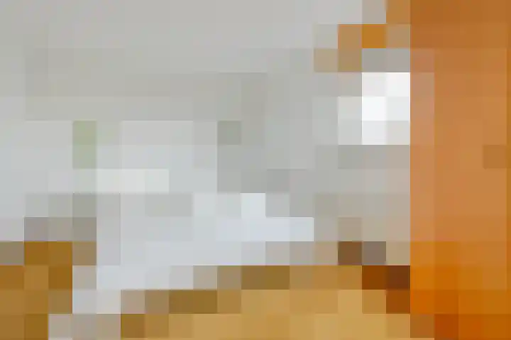 Oldegaarde 234 A Rotterdam thumbnail 4