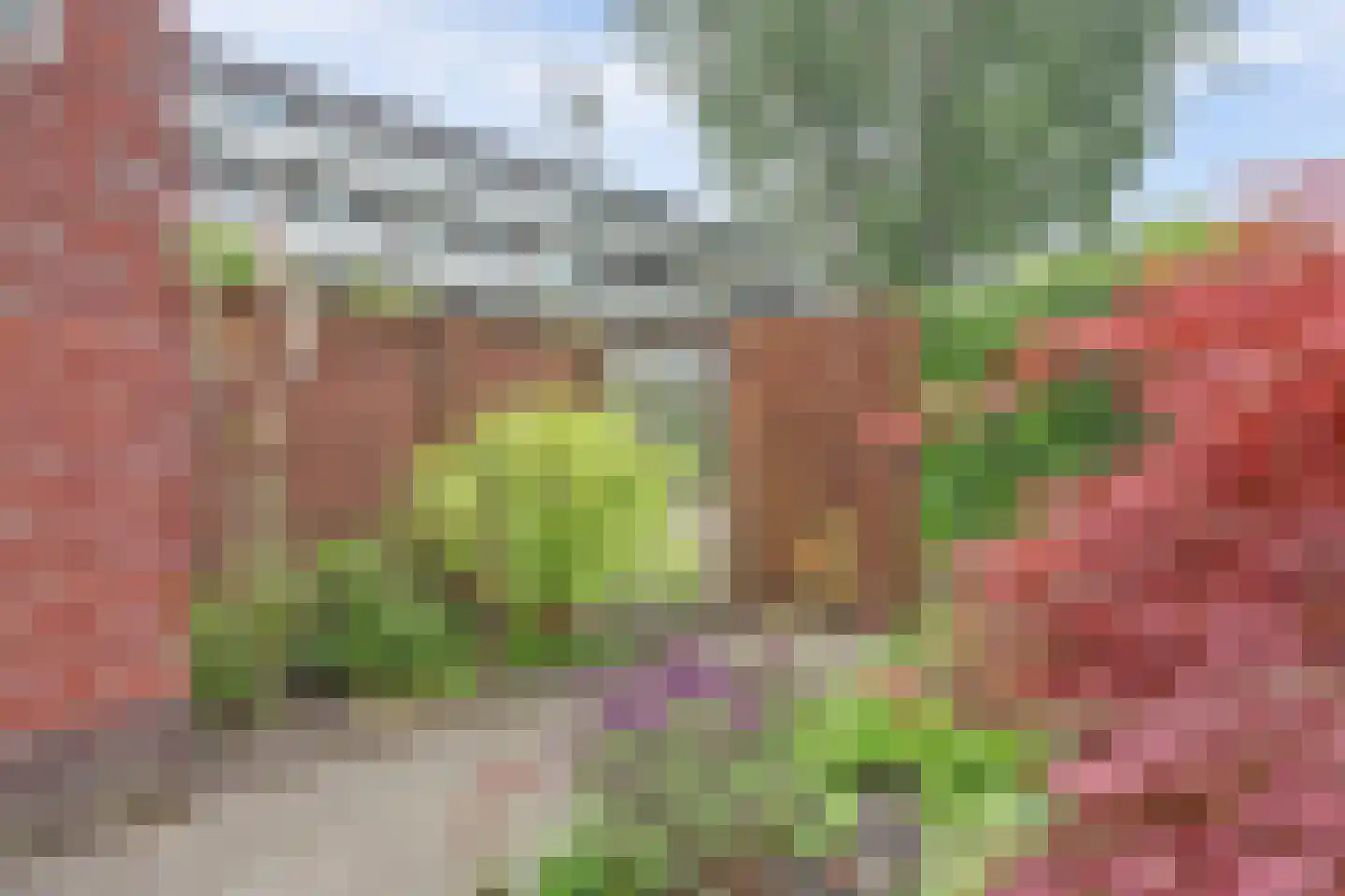 Oldegaarde 498 Rotterdam thumbnail 4