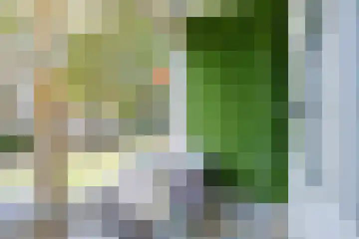 Oldegaarde 676 Rotterdam thumbnail 11