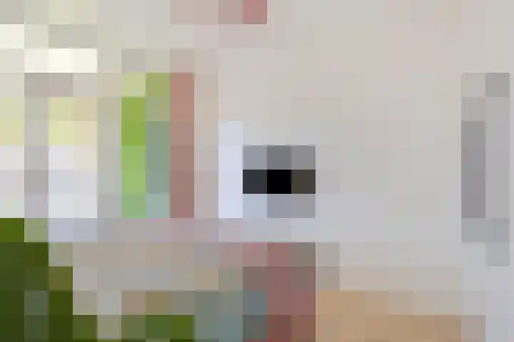 Oldegaarde 676 Rotterdam thumbnail 20