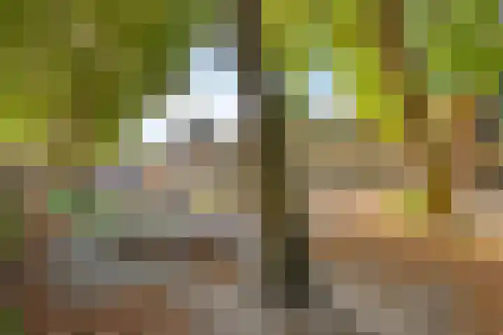 Oldegaarde 676 Rotterdam thumbnail 25