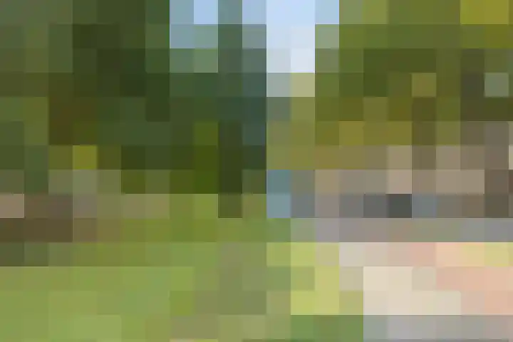 Oldegaarde 676 Rotterdam thumbnail 26