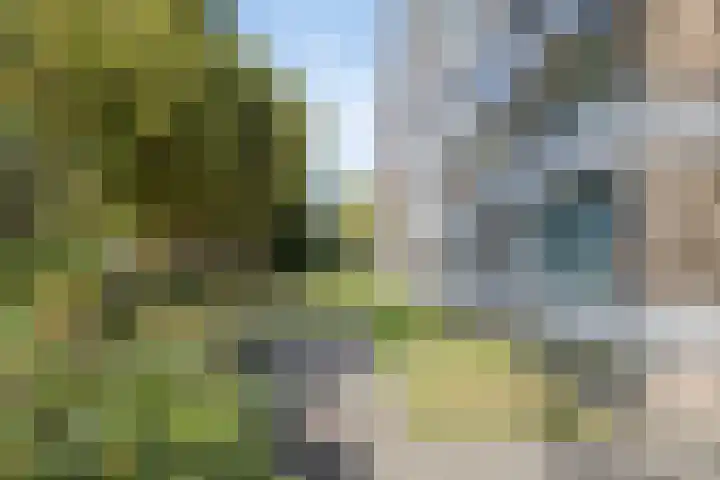 Oldegaarde 676 Rotterdam thumbnail 27
