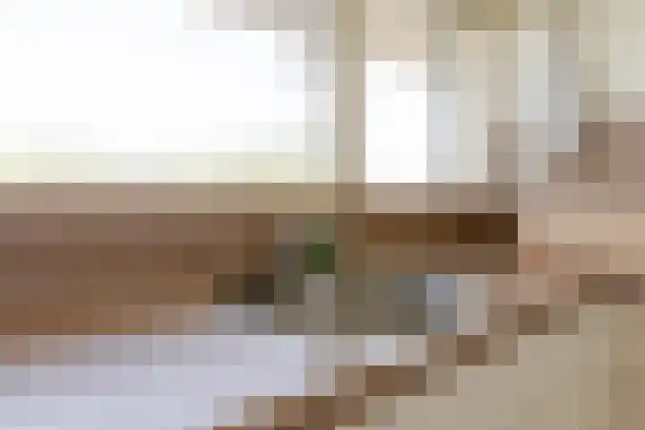 Oldegaarde 706 Rotterdam thumbnail 12
