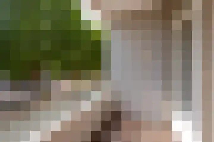 Oldegaarde 706 Rotterdam thumbnail 19