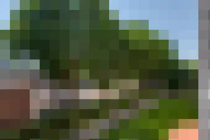 Oldegaarde 706 Rotterdam thumbnail 20