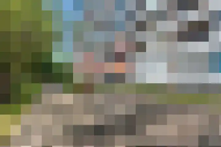 Oldegaarde 706 Rotterdam thumbnail 21
