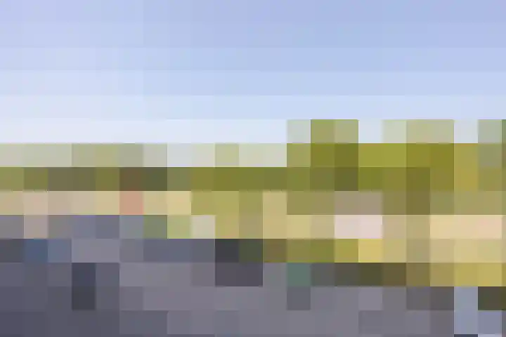 Oldegaarde 706 Rotterdam thumbnail 23