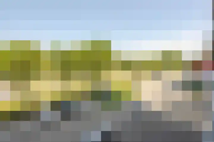 Oldegaarde 706 Rotterdam thumbnail 24
