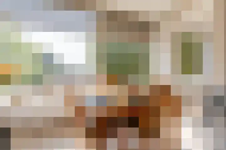 Oldegaarde 706 Rotterdam thumbnail 9