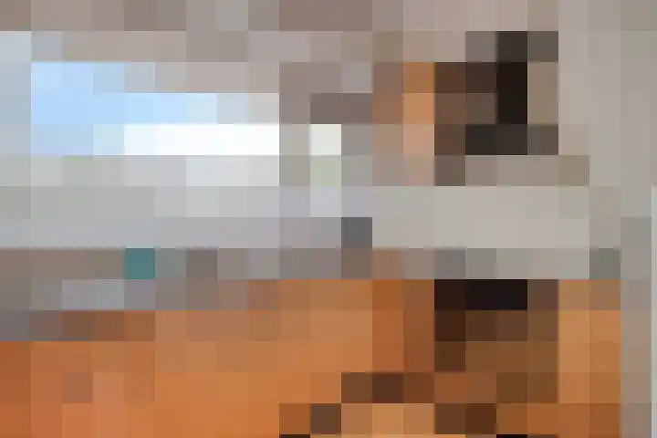 Oldegaarde 710 Rotterdam thumbnail 19