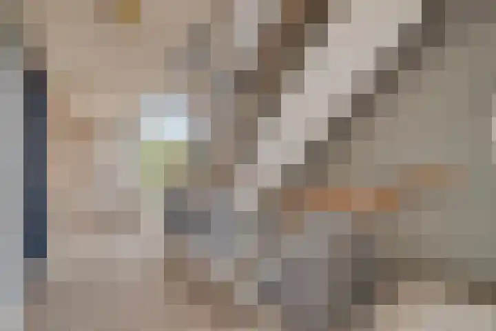 Oldegaarde 710 Rotterdam thumbnail 29