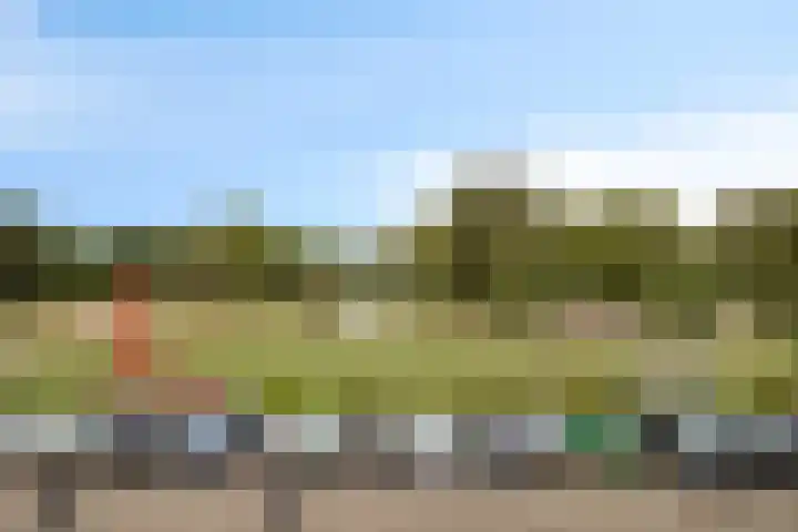 Oldegaarde 710 Rotterdam thumbnail 30