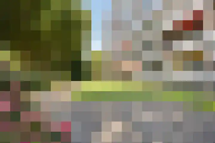 Oldegaarde 750 Rotterdam thumbnail 17