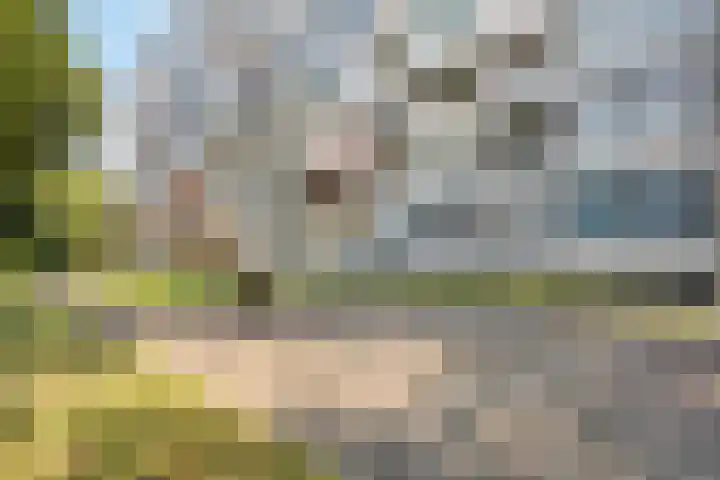 Oldegaarde 750 Rotterdam thumbnail 18