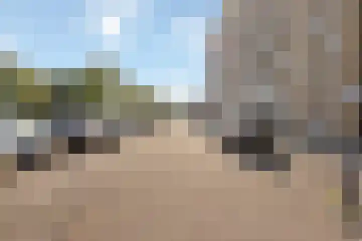 Oldegaarde 750 Rotterdam thumbnail 19