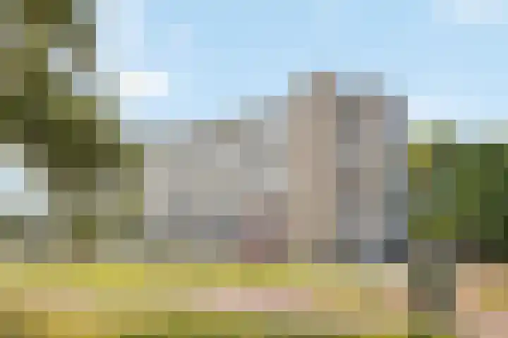 Oldegaarde 750 Rotterdam thumbnail 20