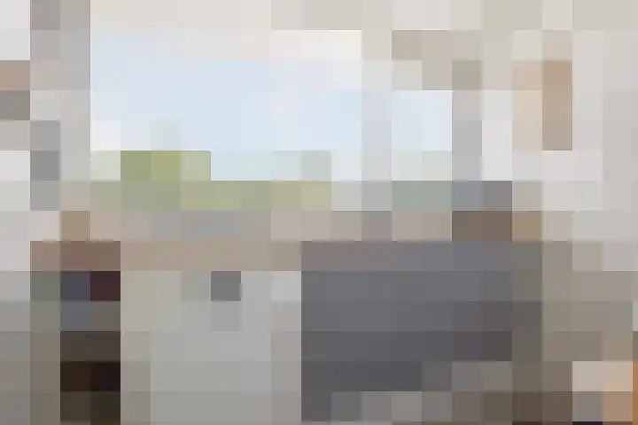 Oldegaarde 750 Rotterdam thumbnail 6