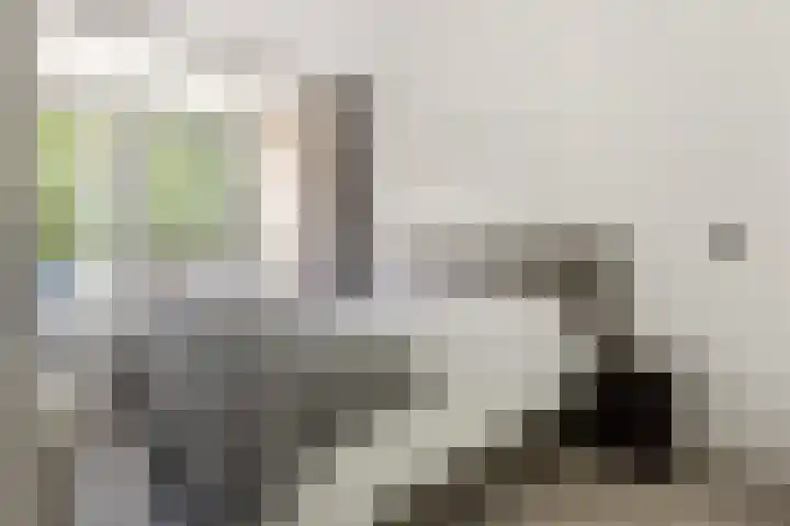 Oldegaarde 750 Rotterdam thumbnail 8