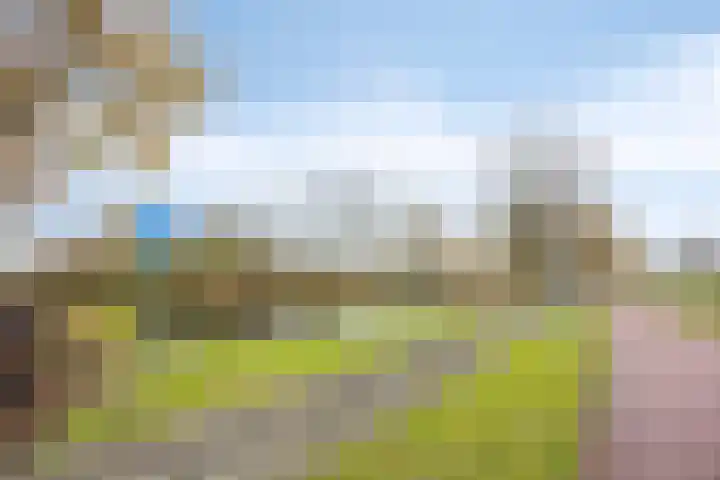 Oldegaarde 756 Rotterdam thumbnail 29