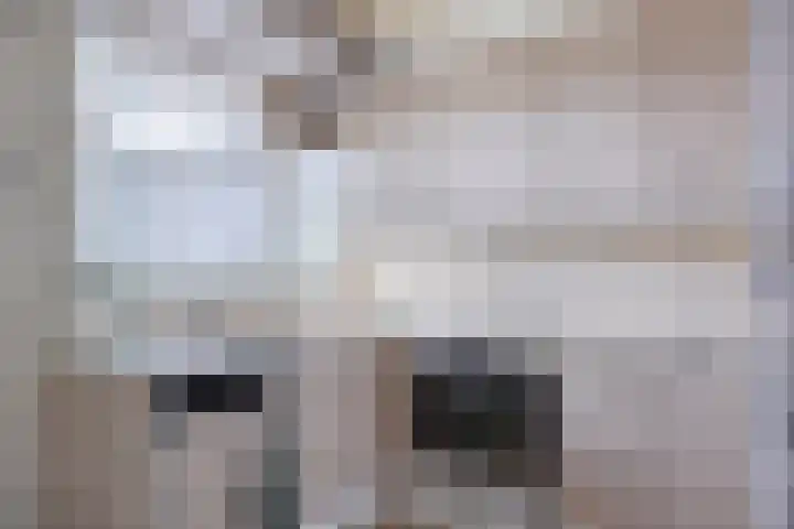 Oldegaarde 756 Rotterdam thumbnail 6