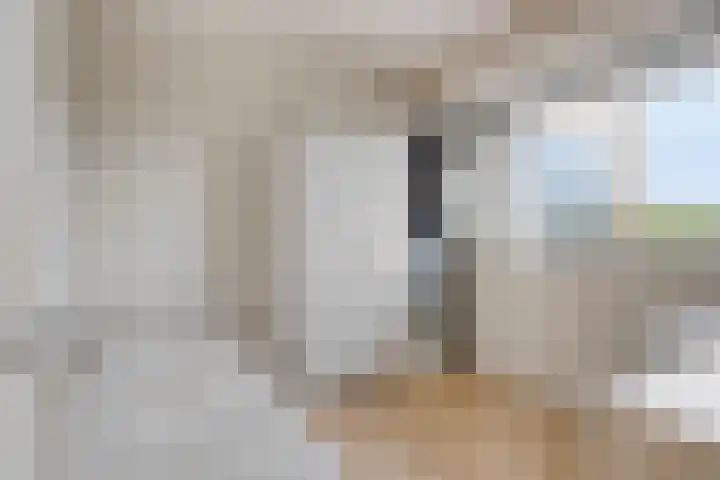 Oldegaarde 772 Rotterdam thumbnail 11