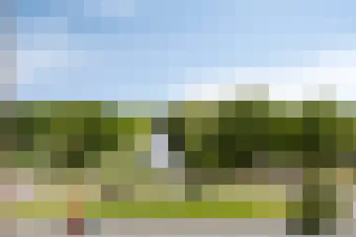 Oldegaarde 772 Rotterdam thumbnail 21