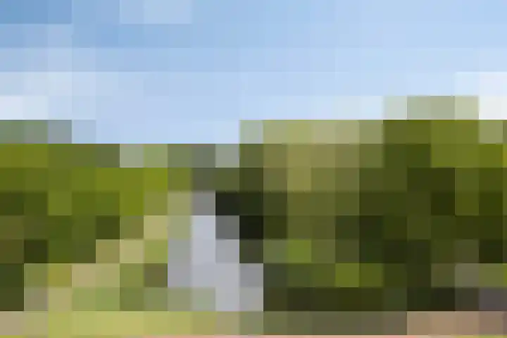 Oldegaarde 772 Rotterdam thumbnail 22