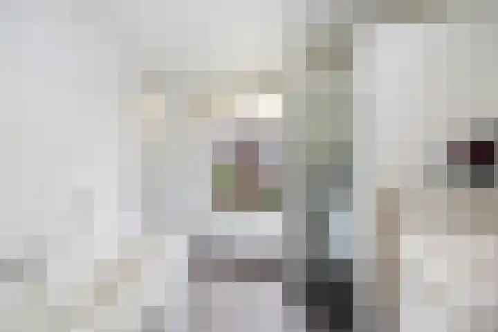 Oldegaarde 772 Rotterdam thumbnail 33