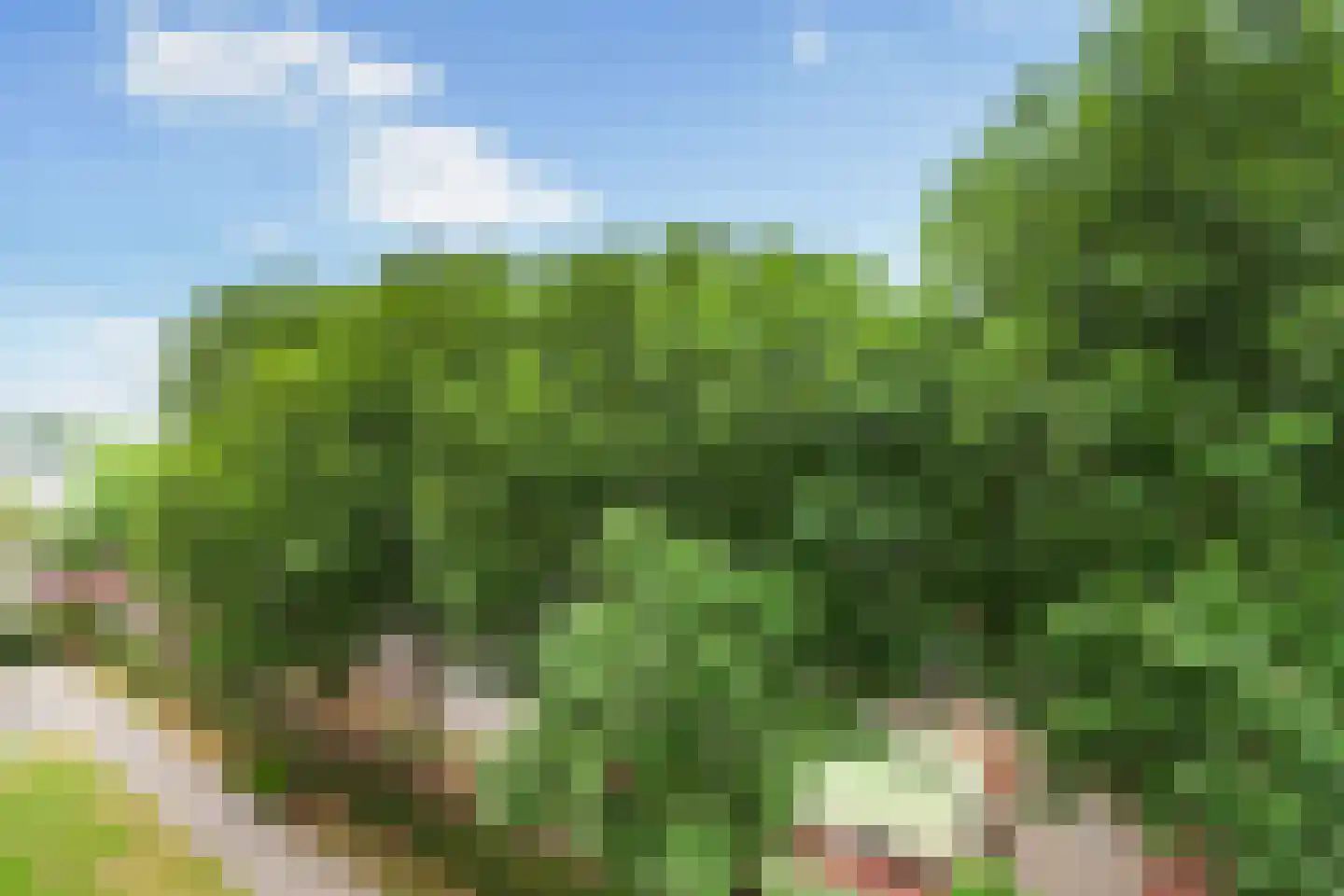 Oldegaarde 774 Rotterdam thumbnail 18