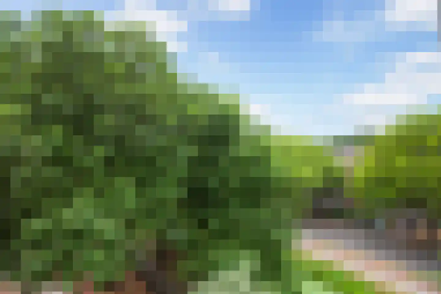 Oldegaarde 774 Rotterdam thumbnail 19