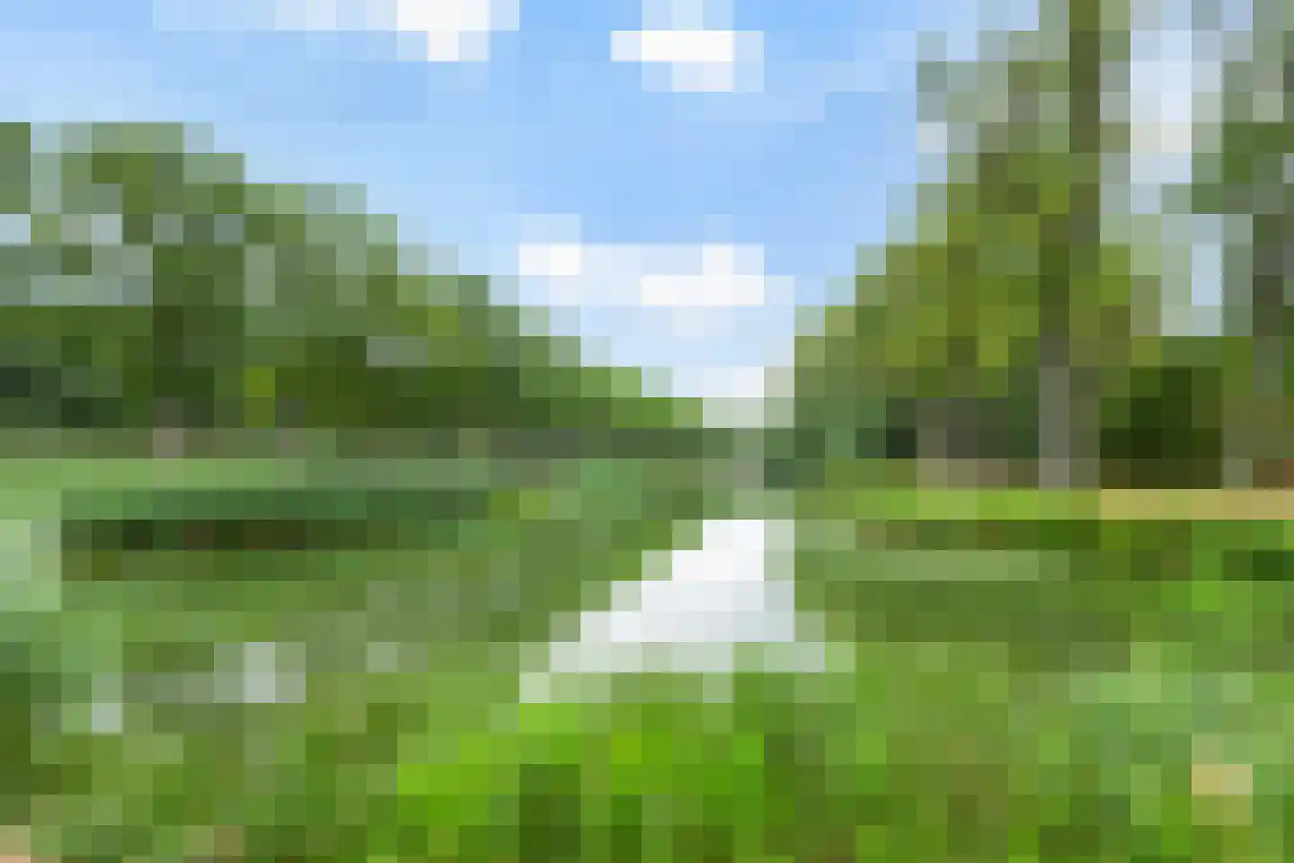 Oldegaarde 774 Rotterdam thumbnail 33