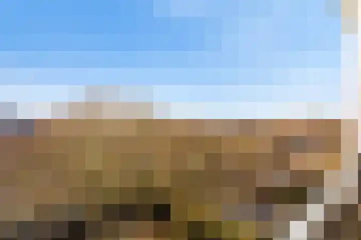 Oldegaarde 810 Rotterdam thumbnail 25
