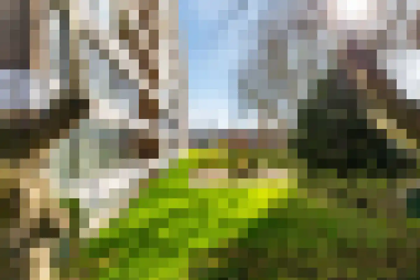 Oldegaarde 810 Rotterdam thumbnail 30