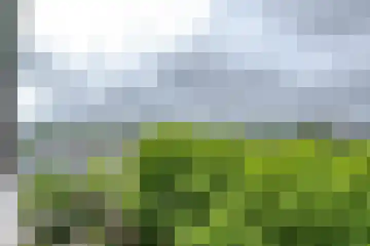 Oldegaarde 824 Rotterdam thumbnail 19