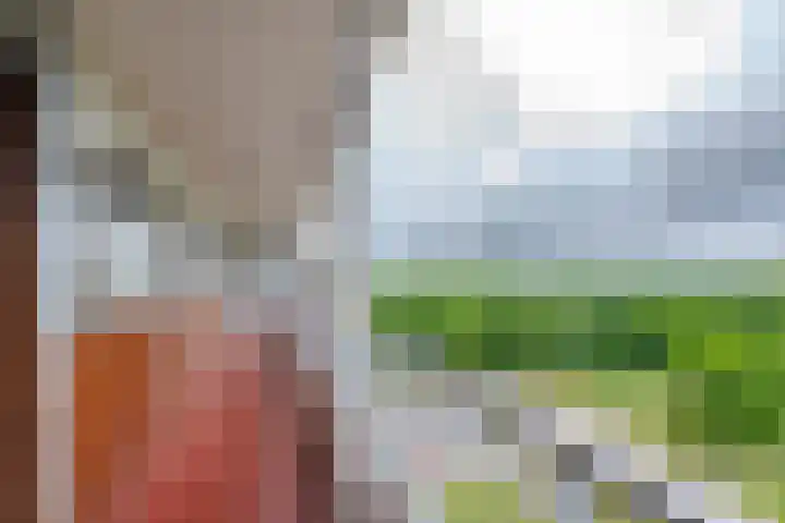 Oldegaarde 824 Rotterdam thumbnail 20