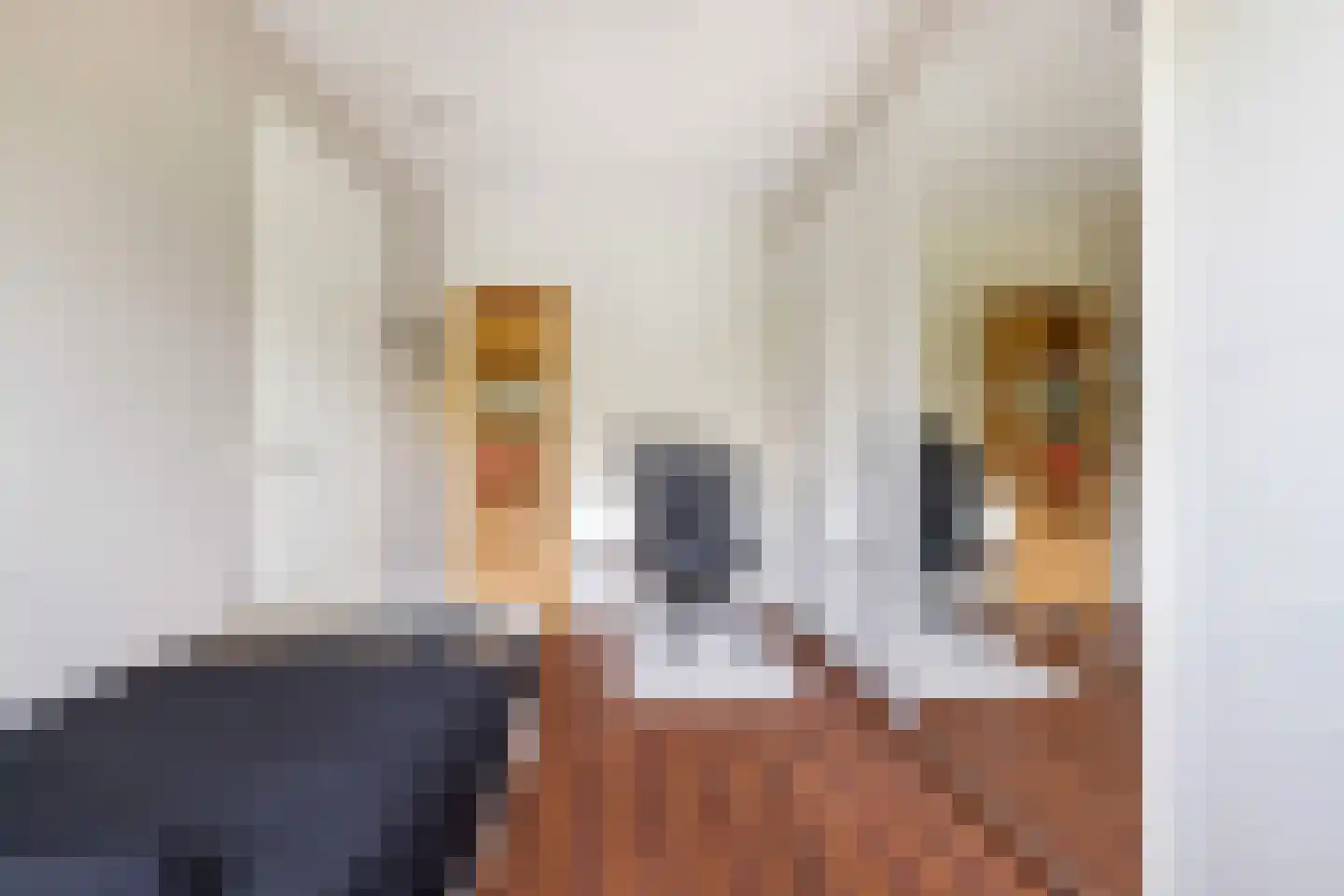 Oldegaarde 982 Rotterdam thumbnail 26